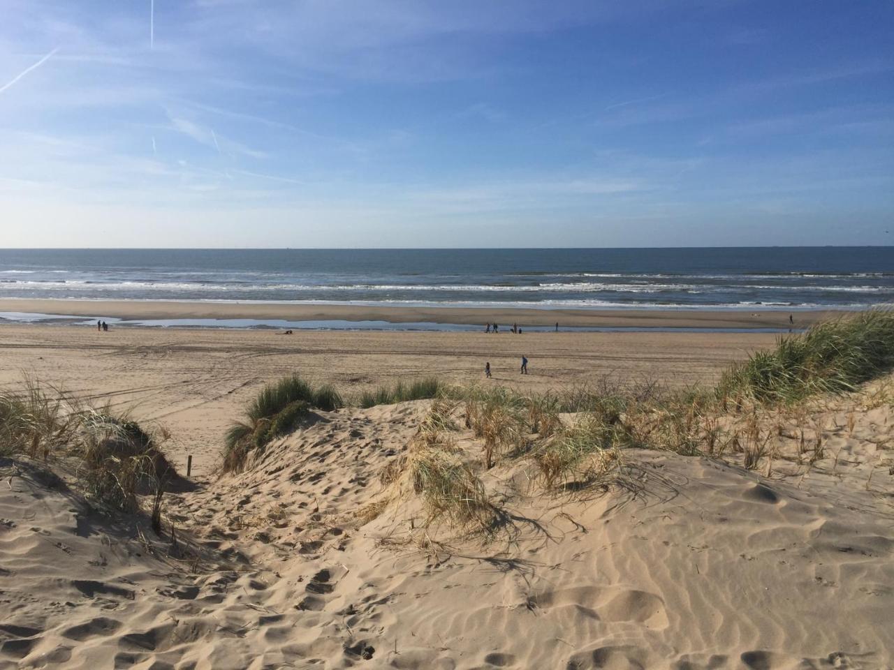 Duynsandt Zandvoort Bagian luar foto